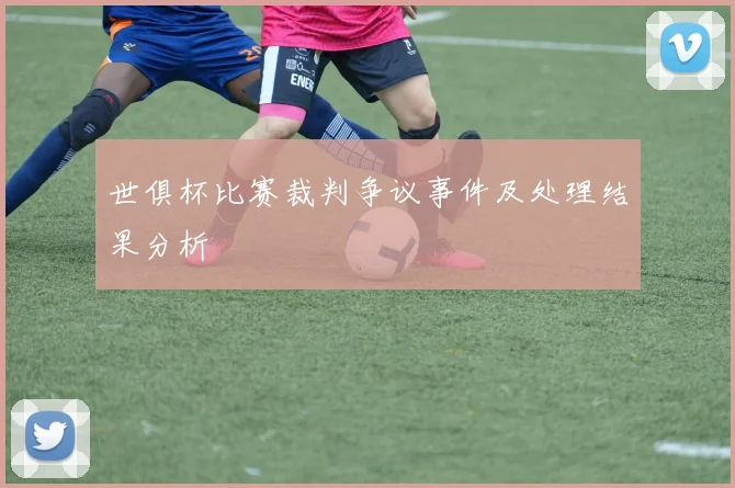 世俱杯比赛裁判争议事件及处理结果分析
