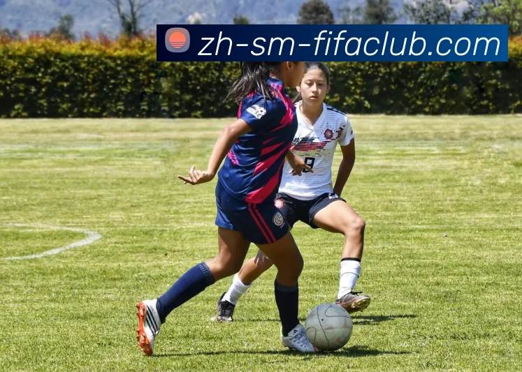 世界杯买球服务体系